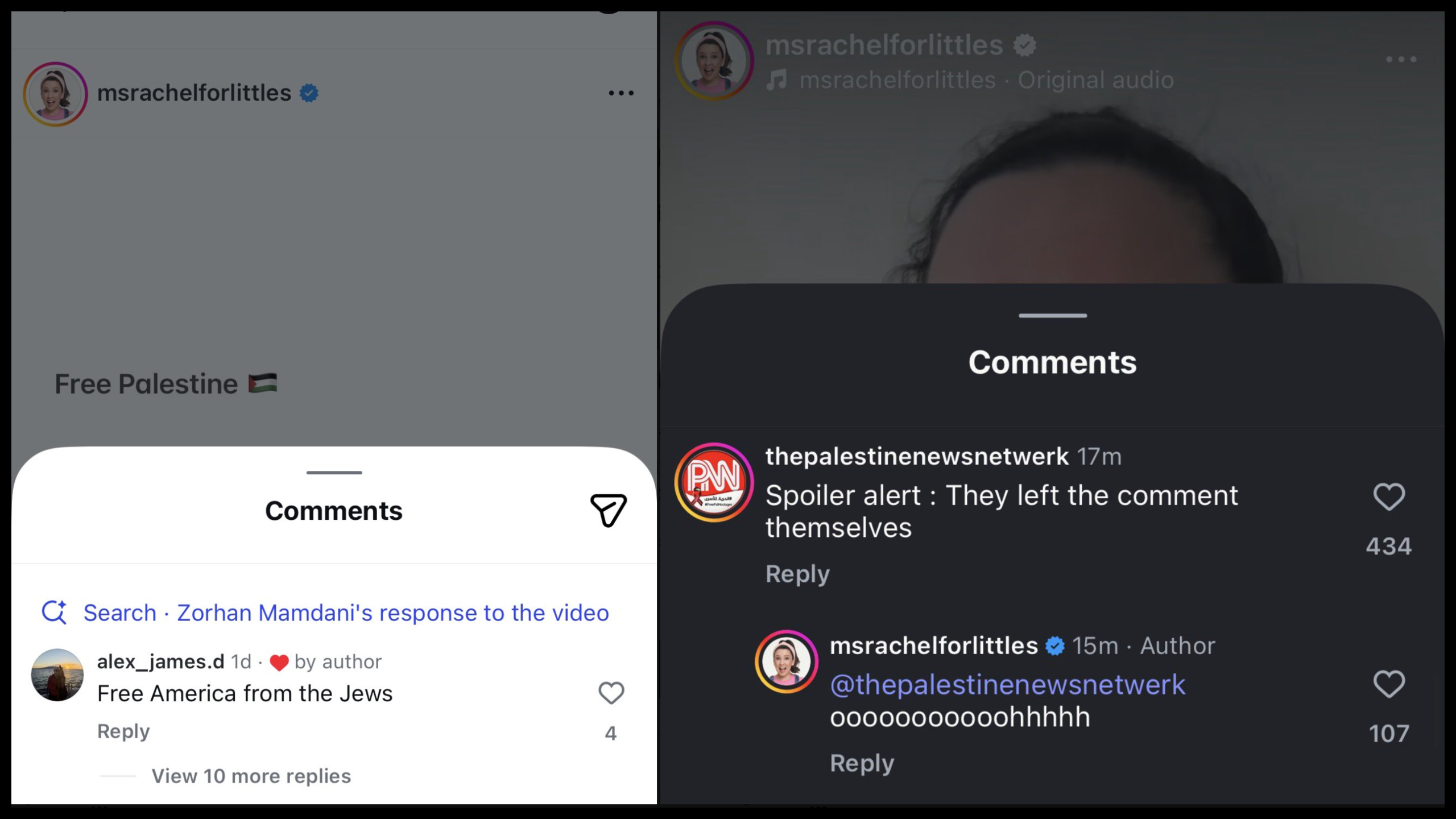 Ms. Rachel liked an antisemitic "Free America from the Jews" comment and engaged with Palestine News Network on Instagram