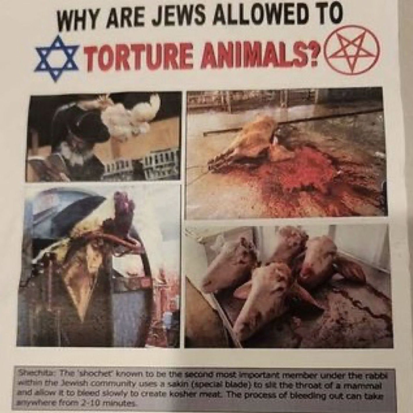 GDL torture animals flyer closeup