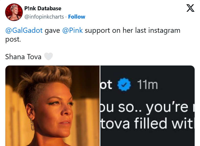 You're Not Alone: Gal Gadot Shows Support for Pink After Singer's Lengthy Statement on Macklemore Controversy