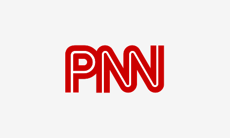 PALESTINE N NETWORK insignia